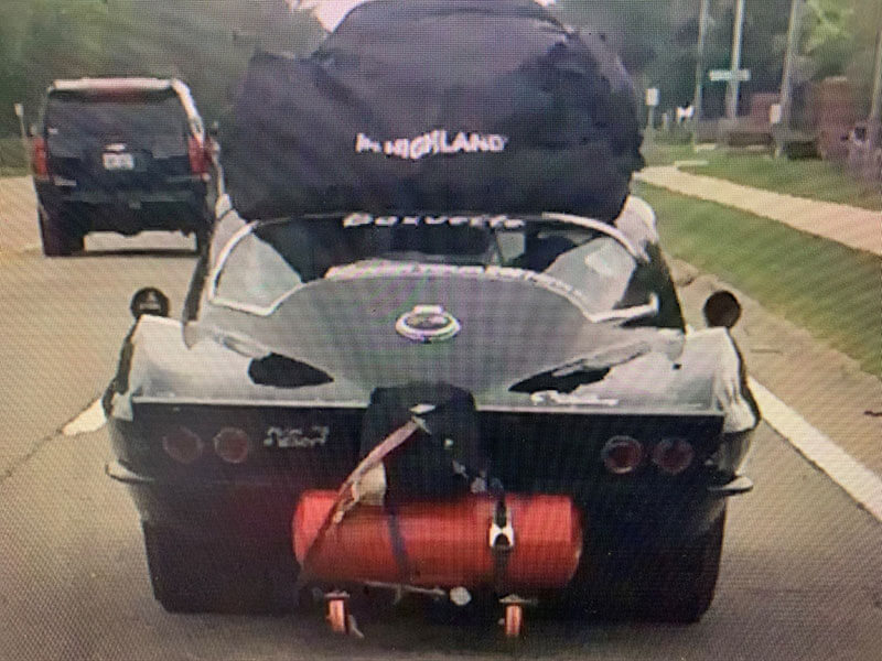 Boxvette Roadkill